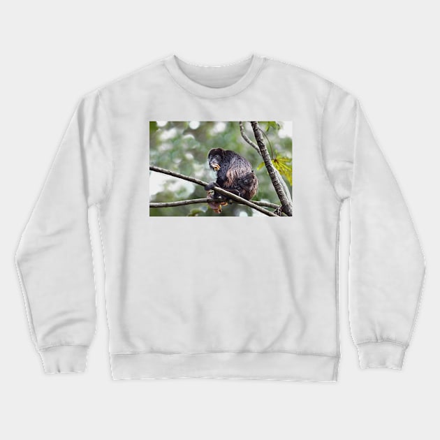 Howler monkey and baby Crewneck Sweatshirt by Jim Cumming